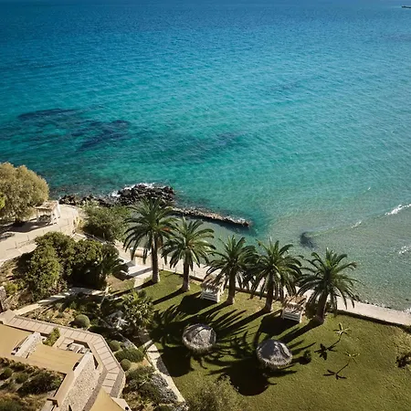 Calypso Ammoudi