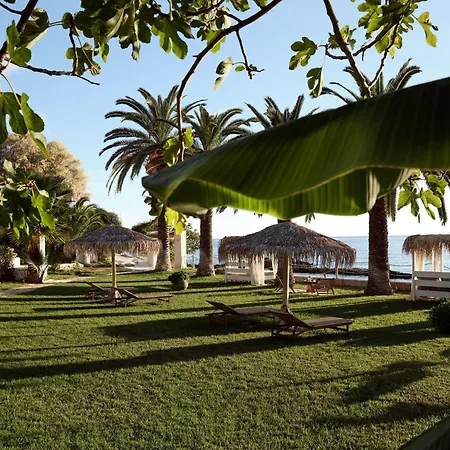 Villa Calypso Amoudi